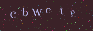Validation image